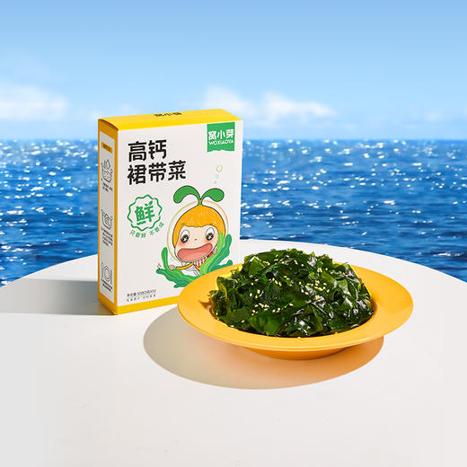 窝小芽高钙裙带菜30g 商品图0