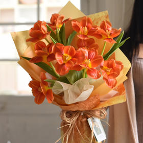 10枝橙色郁金香花束