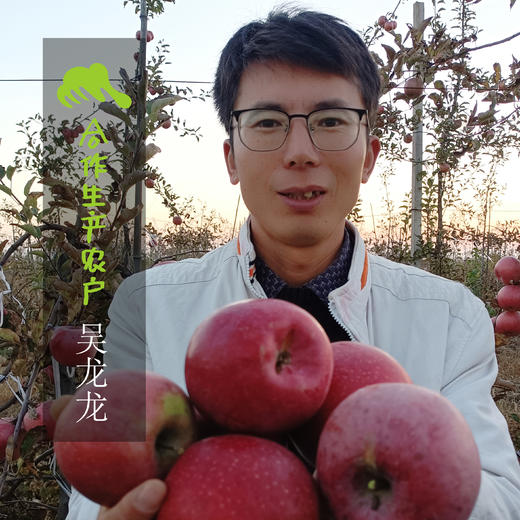 生态甘肃国光&红富士苹果 | 合作生产*Ec0- Apple| Coproduction 商品图1