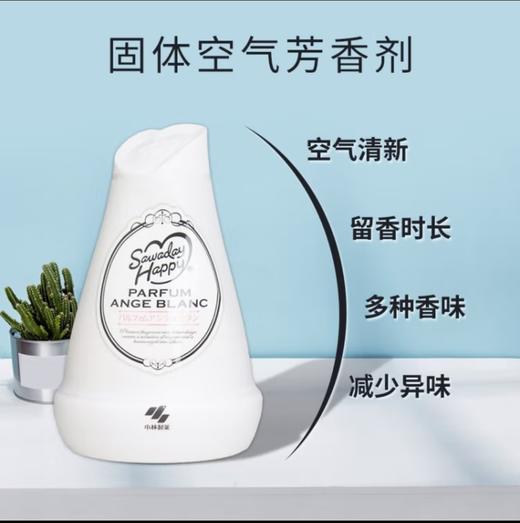 小林制药固体芳香剂温柔花香味120g 商品图0