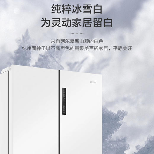 海尔（Haier）冰箱 BCD-549WGHTD58WV 商品图5
