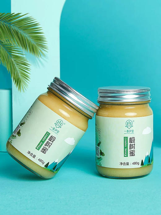 椴树蜜国标480g 商品图0