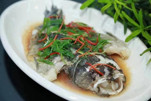 600/700笋壳鱼 商品图0