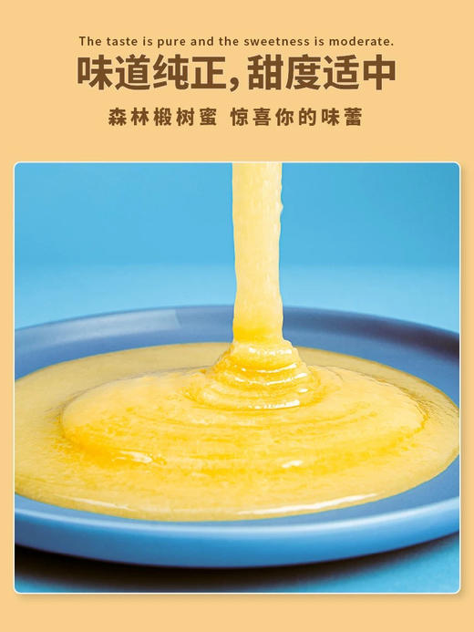 椴树蜜国标480g 商品图3