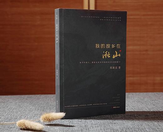 我的故乡在湫山 商品图1