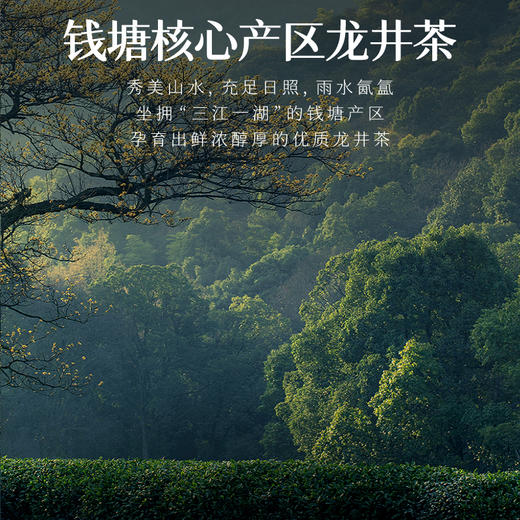 艺福堂精选桂花龙井茶60g/罐（氮气罐） 商品图4