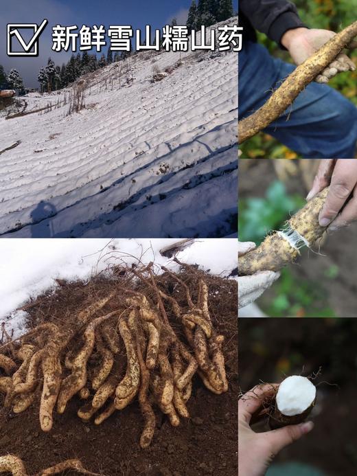 雪山山药原浆面 商品图1