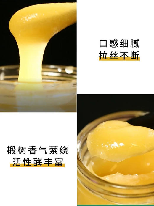 椴树蜜国标480g 商品图4