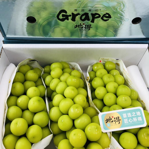 晴印葡萄，浓郁香甜口感，颗粒硕大饱满⚠️精致礼盒包装 商品图3