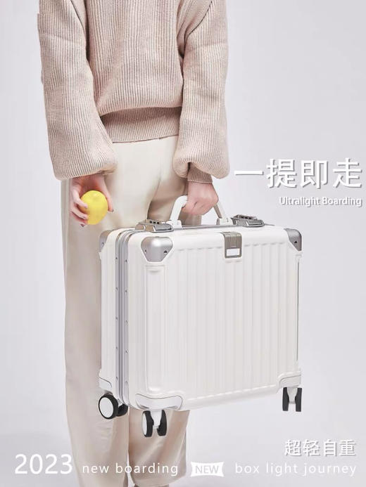 ECTOR HARDEN高端奢侈品牌行李箱小型登机18寸静音新款密码旅行箱 商品图1