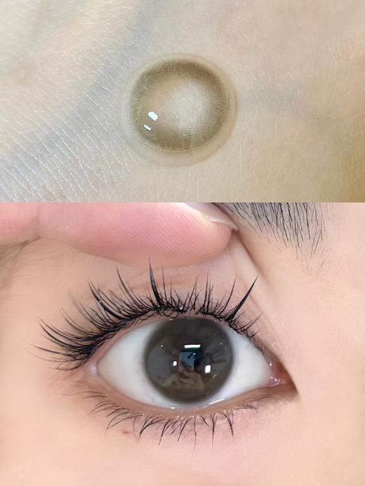 Gugucon旗下 |  一枝春&北极泪｜14.2mm白狮参考着色中小直径｜ 日抛  一盒十片装 商品图10