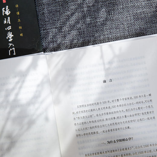 阳明心学入门 读懂王阳明（精装定制版） 商品图3
