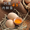 叶黄素可生食鸡蛋  基地直邮 商品缩略图1