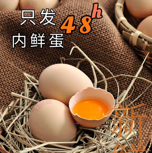 叶黄素可生食鸡蛋  基地直邮 商品图1