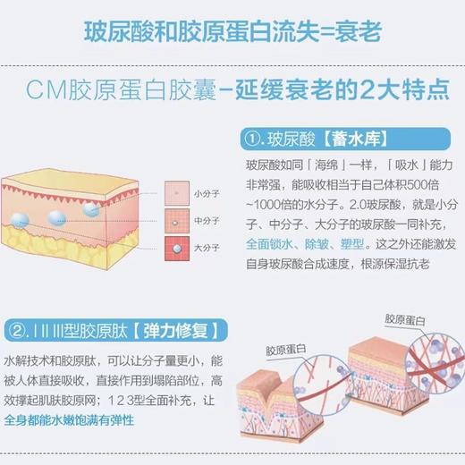 预售！粉色胶原粉预计2月到货❗️❗️❗️多款可选！捷克collamedic胶原蛋白胶囊&粉色加强版胶原蛋白粉 口服小分子玻尿酸改膳皱纹美颜 胶囊日期26年11月、柠檬味27年1月 商品图5