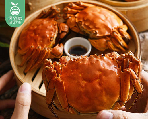 【叼蟹】江苏大闸蟹礼盒（公母各3只共6只，公蟹200g±10g，母蟹175g±10g） 商品图3