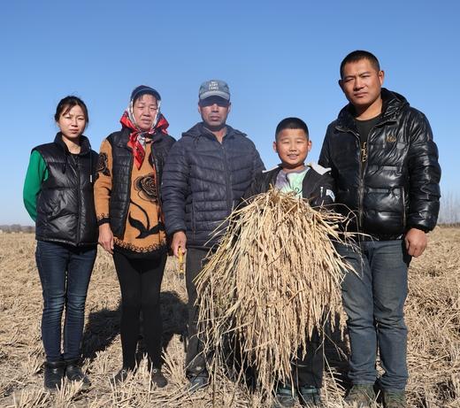 【包邮】25年五常稻花香大米 | 第13年有机方式种植  未抛光 稻香浓郁  | * Wuchang Rice 商品图9