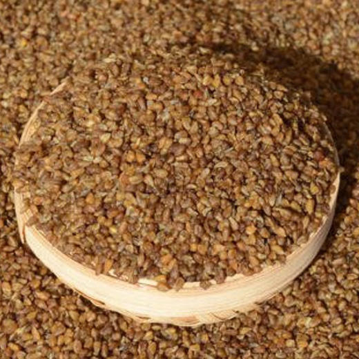 河谷上方 苦荞500g*5袋 商品图2