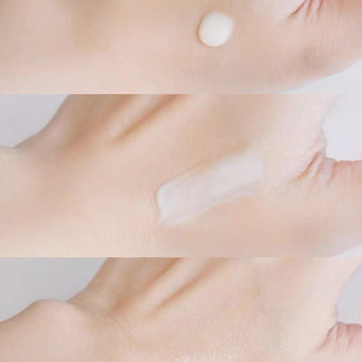 日本怡丽丝尔眼霜22g 商品图2