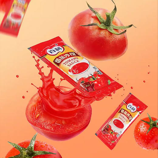 L百利番茄沙司（10g/袋）20袋/小包  300袋/大包 商品图4