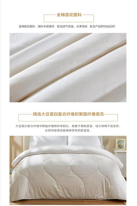 【Luolai罗莱厅】B7F罗莱 大豆亲肤厚被新一代 商品图1