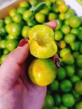 特价李子10元3斤