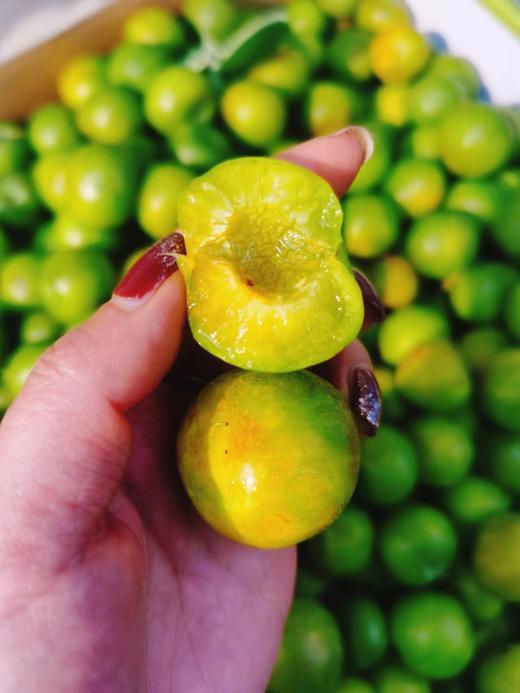 特价李子10元3斤 商品图0