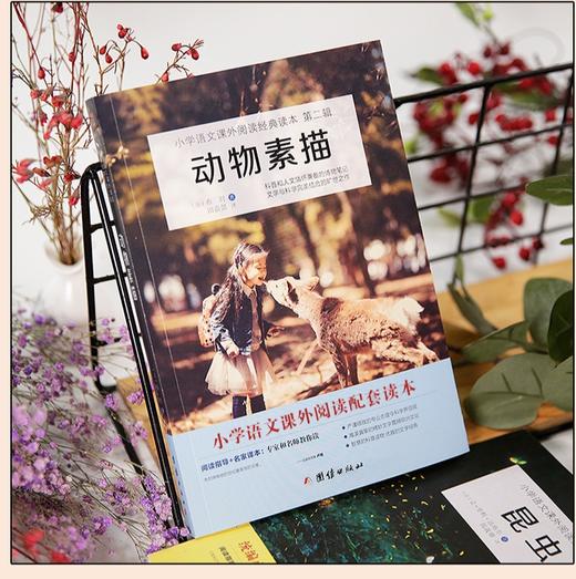 小学语文课外阅读-动物素描 商品图1