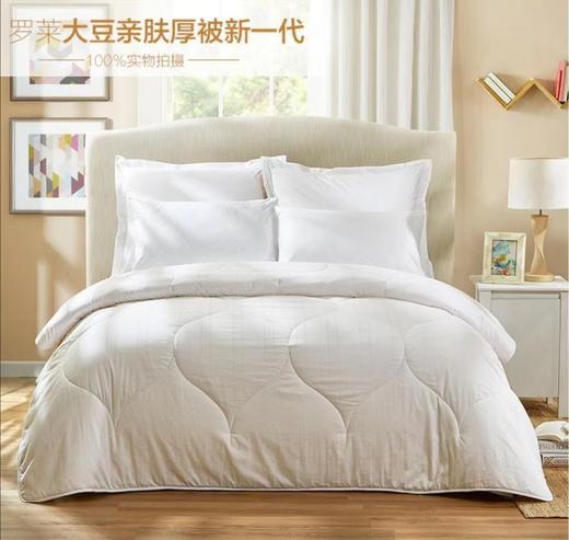 【Luolai罗莱厅】B7F罗莱 大豆亲肤厚被新一代 商品图0