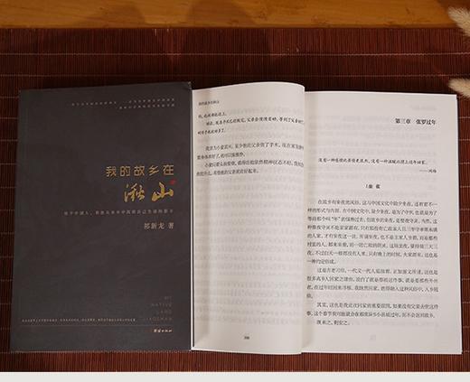 我的故乡在湫山 商品图3