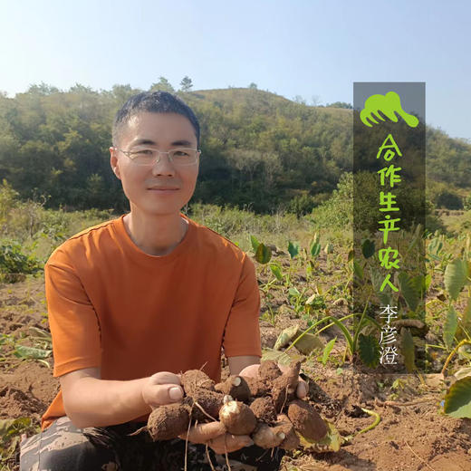 生态小芋头 | 合作生产* Ecological taro | Coproduction 商品图1