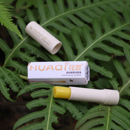 【包邮到家｜花憩-森林蜂蜜润唇膏】蕴含天然蜂蜜、蜂蜡成分，能有效锁住水分，避免皮肤干燥脱皮、持久保湿，淡化唇纹。 如风生活特惠 商品图1