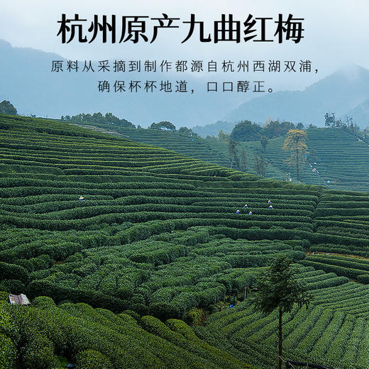 【超值补贴】艺福堂精选桂花红茶60g/罐（氮气罐） 商品图4