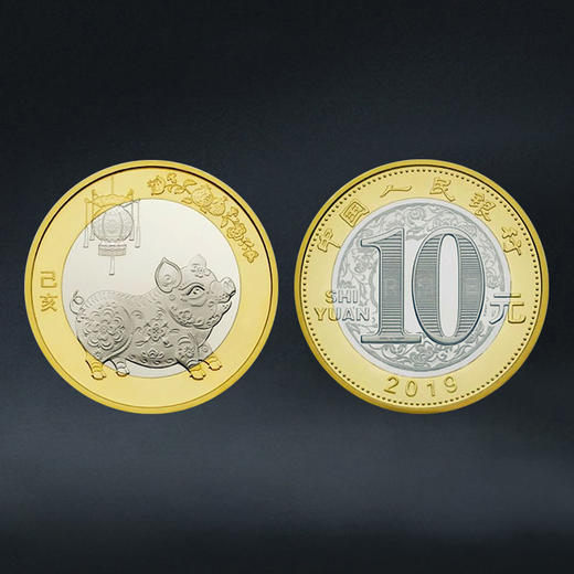 2019年猪年纪念币！ 商品图2