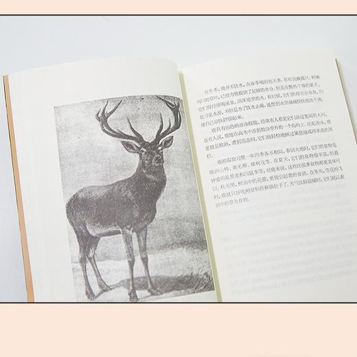 小学语文课外阅读-动物素描 商品图2