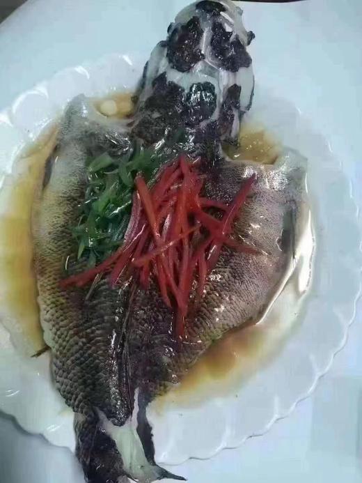 600/700笋壳鱼 商品图5