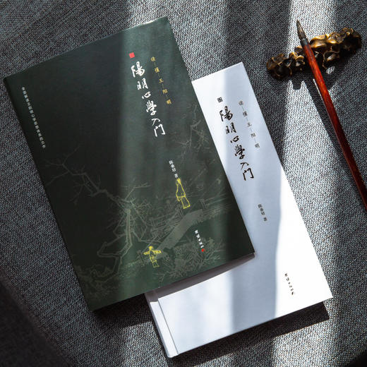 阳明心学入门 读懂王阳明（精装定制版） 商品图1