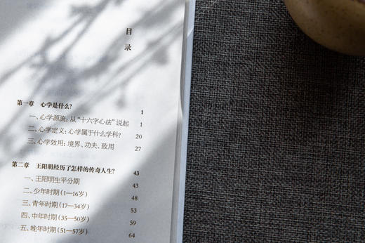 阳明心学入门 读懂王阳明（精装定制版） 商品图2