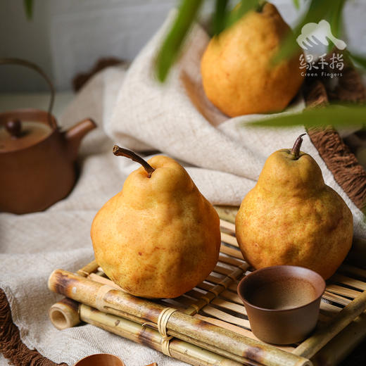 生态丑梨&佛手梨 | 合作生产 * Ecological Ugly Pear | Partner Production 商品图2