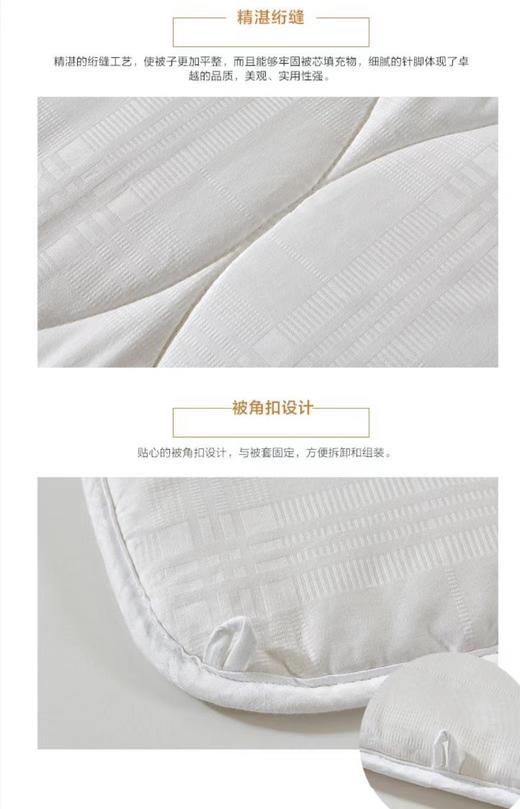 【Luolai罗莱厅】B7F罗莱 大豆亲肤厚被新一代 商品图2