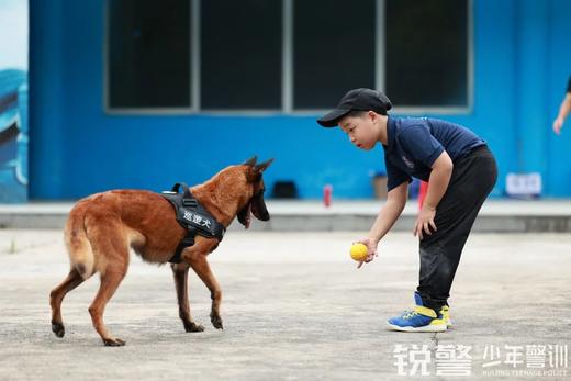 2024水上安全教育研学营（5.12) 商品图3