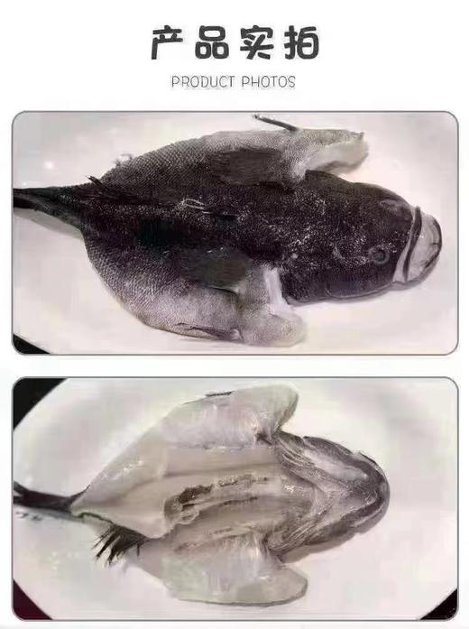 600/700笋壳鱼 商品图3