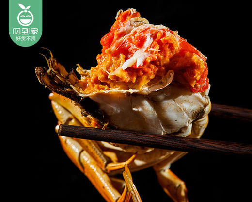 【叼蟹】江苏大闸蟹礼盒（公母各3只共6只，公蟹200g±10g，母蟹175g±10g） 商品图7