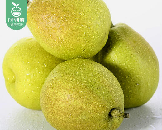 库尔勒香梨（1kg±50g/份） 商品图4