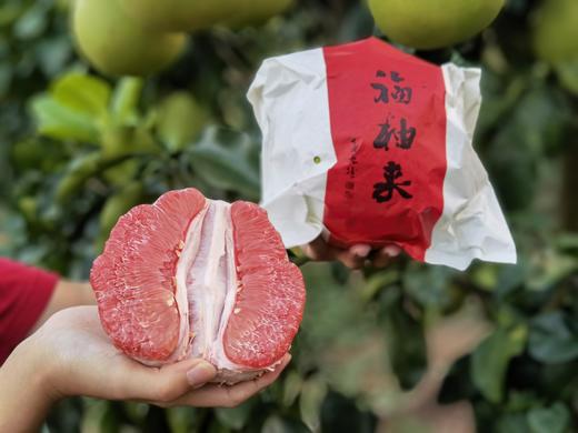 有机青柚 天然日晒 礼盒装 商品图0