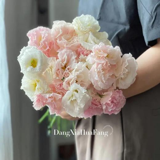 【随机色洋桔梗】1扎600-800g（约30-40朵）/份  品种随机 商品图2