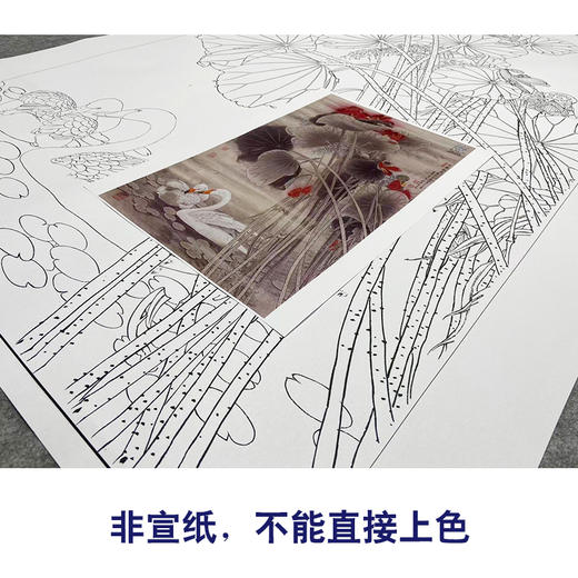 【大彩图】窦绅卿工笔画白描底稿《清露微风》荷花临摹勾线花鸟线稿HN12 商品图2