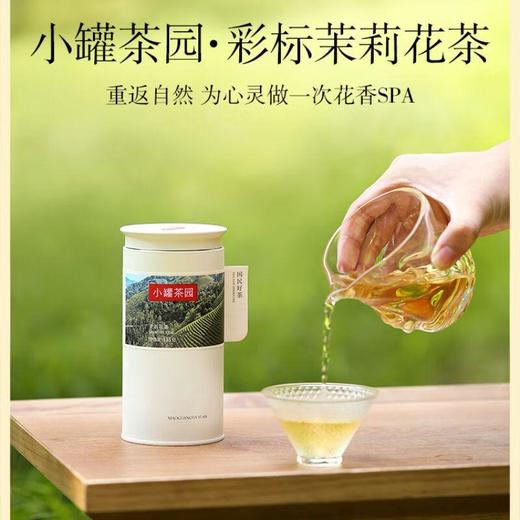 小罐茶园彩标系列茉莉花茶/135克 商品图0