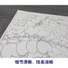 【大彩图】李晓明工笔画白描底稿斗方《绣眼白荆花》临摹勾线花鸟线稿K122 商品缩略图4