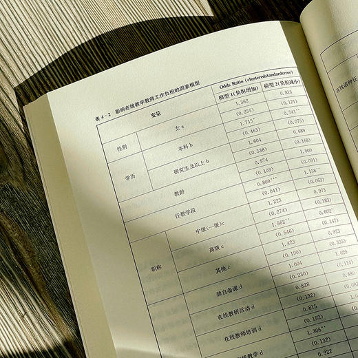 教师减负：理论、实践与政策 赵健 吴旻瑜等著 中小学教师减负 商品图12